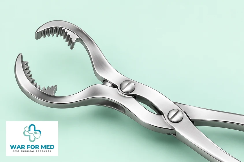 Verbrugge-Pattern Bone-Holding Forceps — single instrument close view reference, WAR FOR MED
